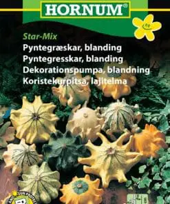Pyntegræskar blanding – “Star mix” – Blomsterfrø