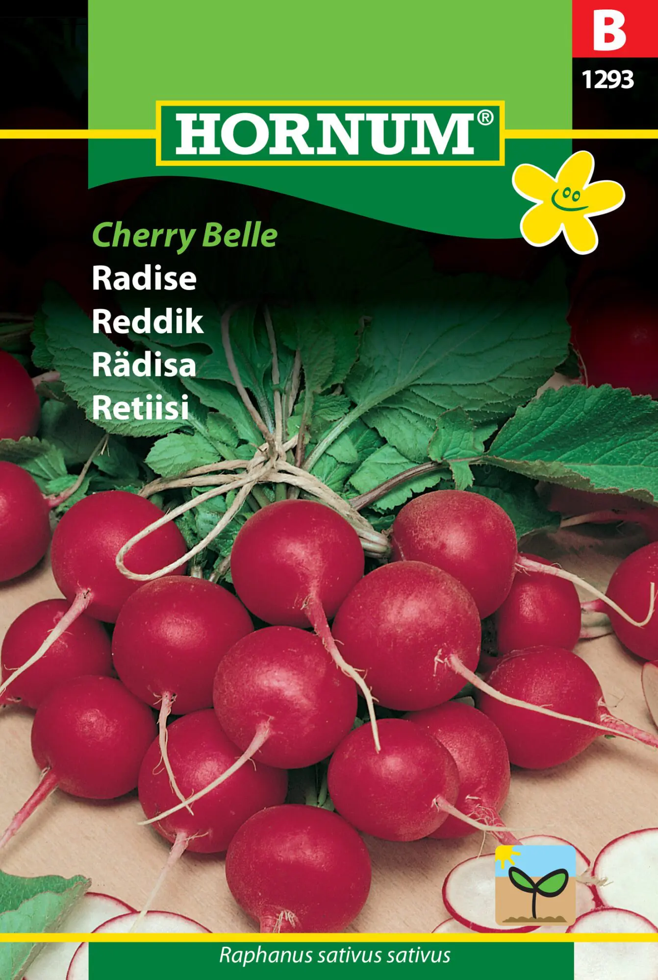 Radiser – “Cherry Belle” Rund, rød radise med mild smag – Radise frø – Grøntsagsfrø