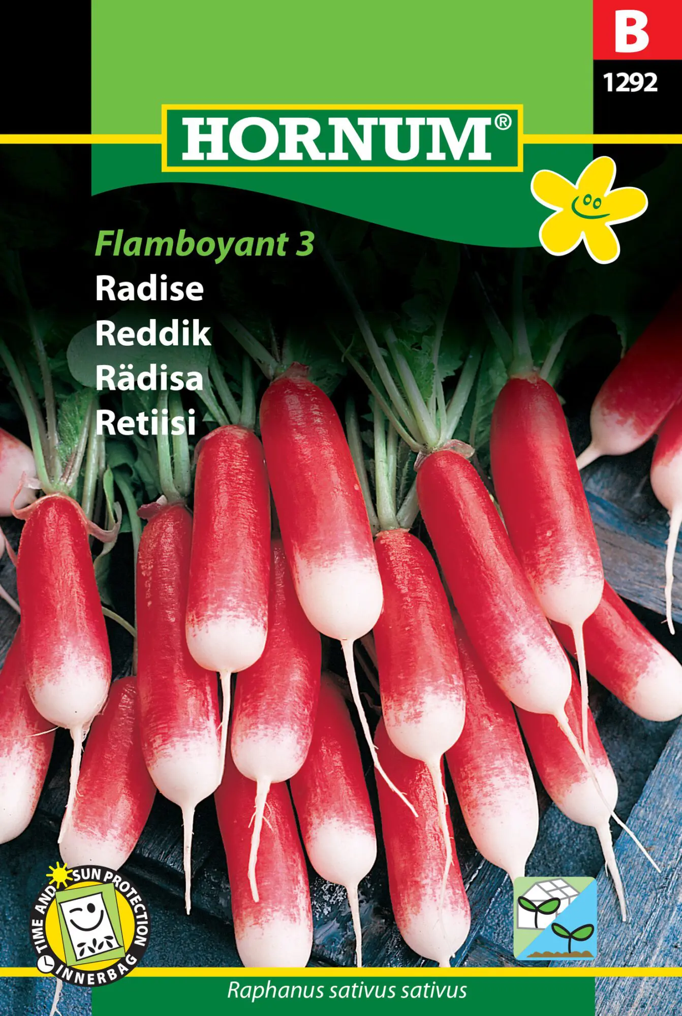 Radiser – “Flamboyant” Hurtigtvoksende aflang radise med mild smag – Radise frø – Grøntsagsfrø