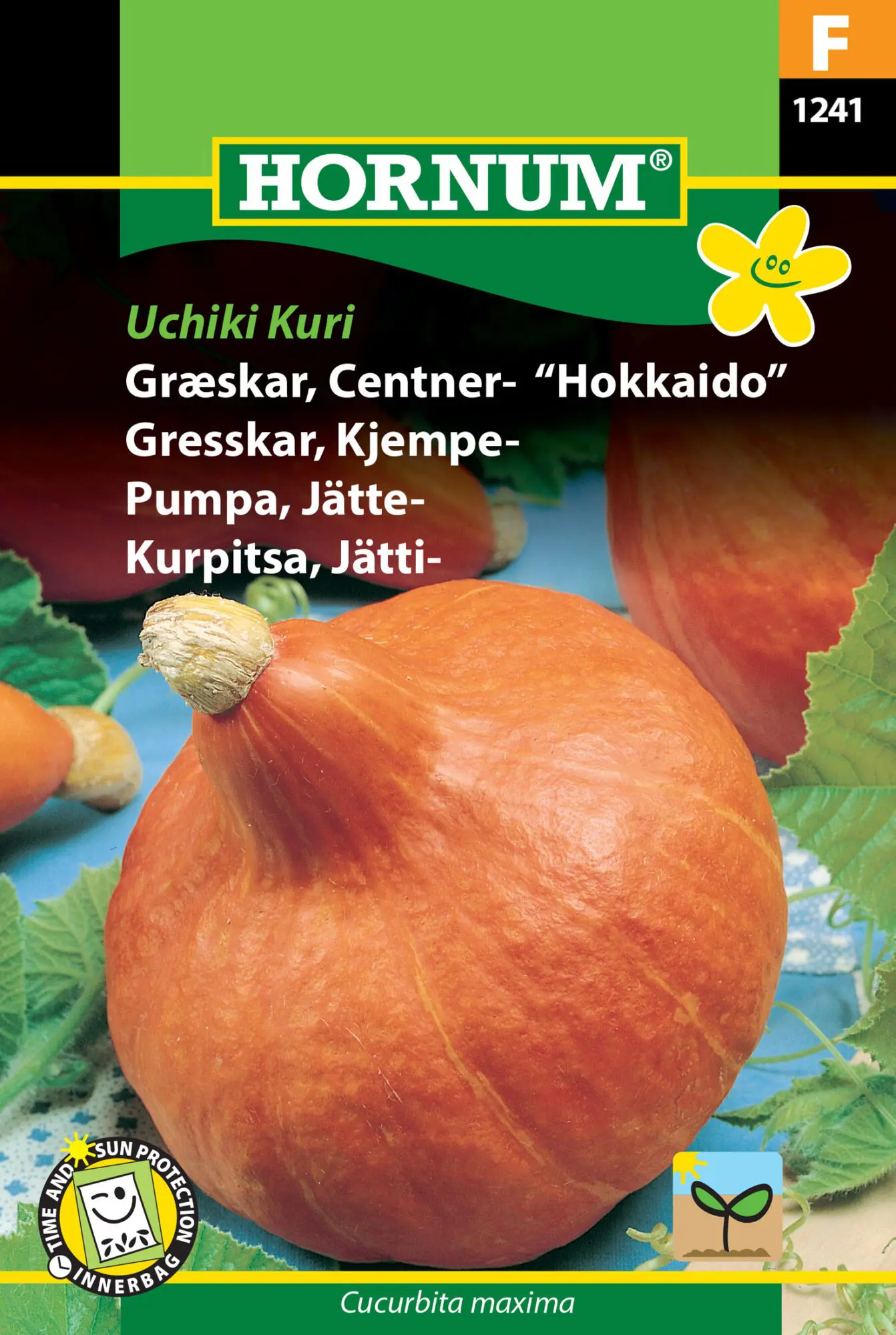 Hokkaido Græskarfrø – Det populære og velsmagende græskar – Grøntsagsfrø