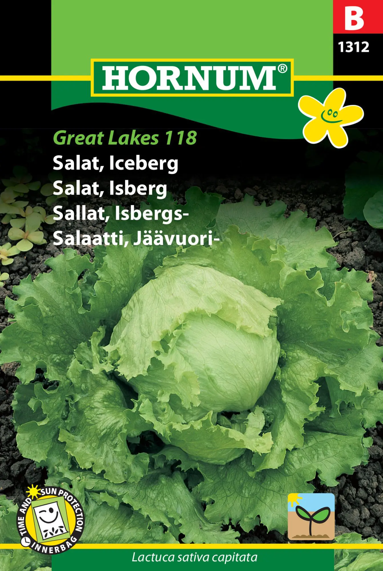 Salatfrø “Iceberg” – Grøntsagsfrø – Fast hoved og god smag