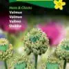 Valmue blanding “Hens and Chicks” – Blomsterstand som evighedsblomst – Blomsterfrø