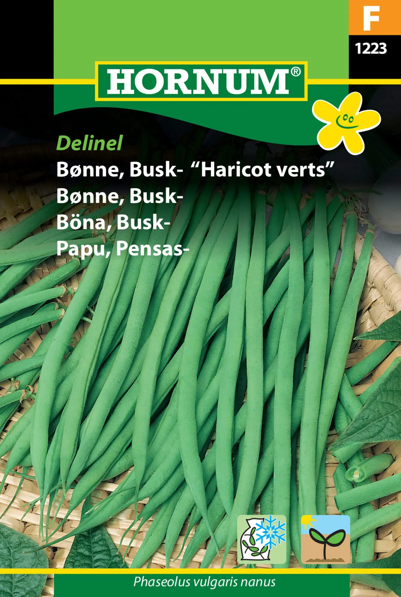 Buskbønne – Haricot Verts – Hornum Grøntsagsfrø