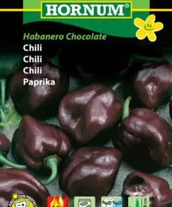 Chilifrø – “Habanero Chocolate” Meget stærk chokoladebrun chili – Grøntsagsfrø