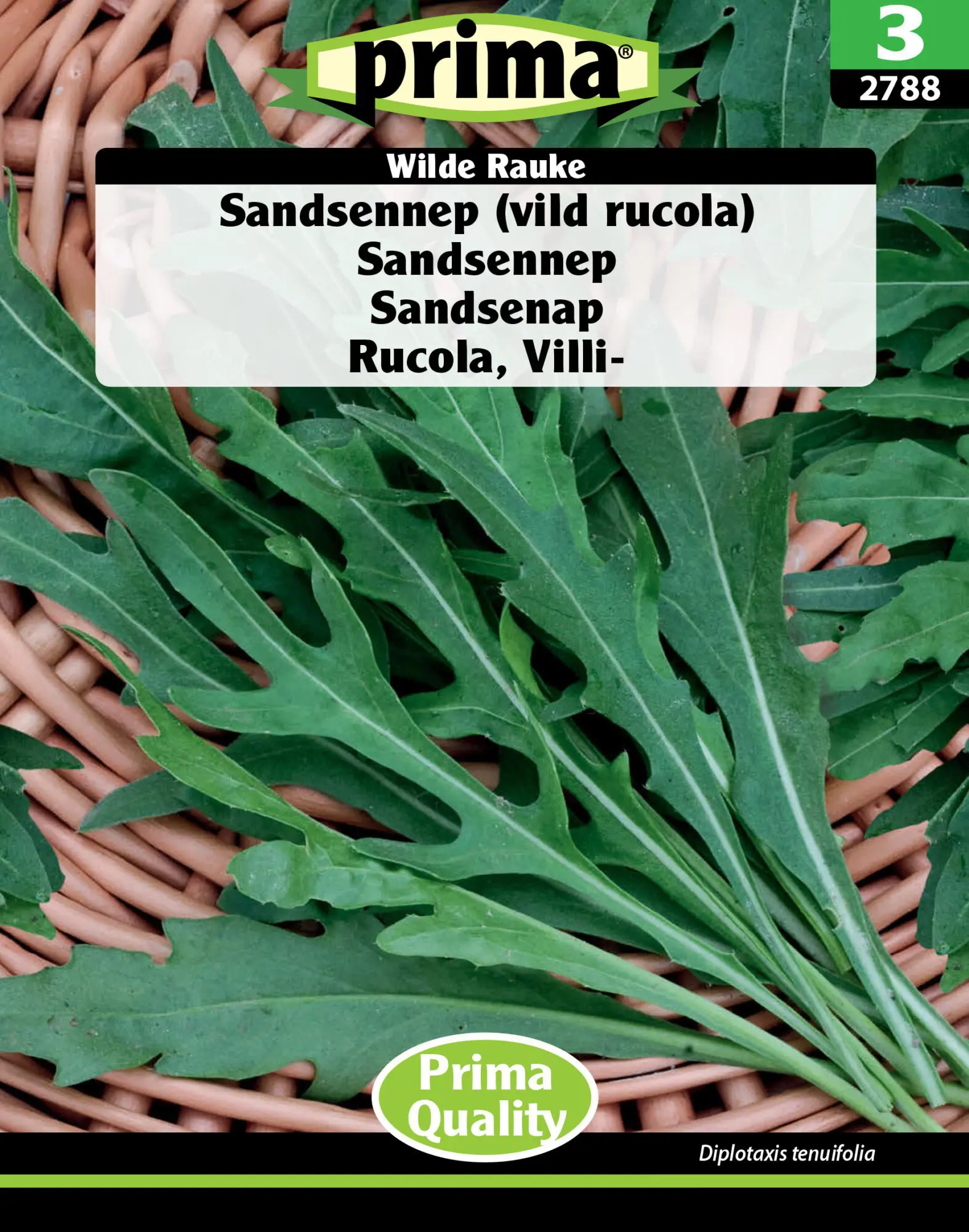 Rucola frø – Vild Rucola eller Sandsennep – Grøntsagsfrø