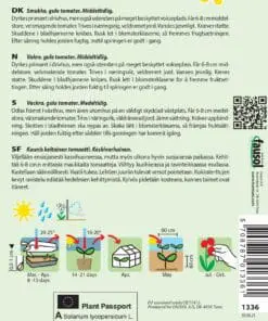 Tomatfrø Gule tomater – Middeltidlig – Grøntsagsfrø