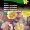 Akelaje blanding “Merry” – Flerårig og farverig blanding – Blomsterfrø