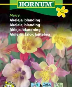 Akelaje blanding “Merry” – Flerårig og farverig blanding – Blomsterfrø