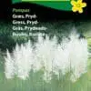 Pampas prydgræs græsfrø. Store fjerlignende blomsterstanden – Blomsterfrø / Græsfrø