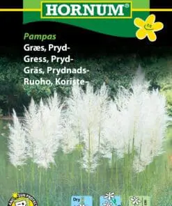 Pampas prydgræs græsfrø. Store fjerlignende blomsterstanden – Blomsterfrø / Græsfrø