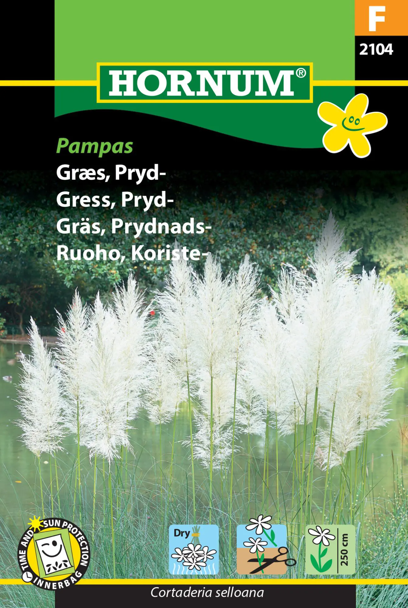 Pampas prydgræs græsfrø. Store fjerlignende blomsterstanden – Blomsterfrø / Græsfrø