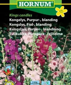 Kongelys purpur blanding – Nem og bivenlig – Blomsterfrø
