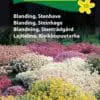 Stenhave blanding – Flerårig blomsterglæde – Blomsterfrø