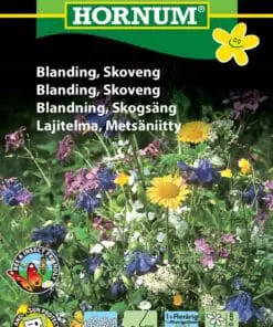 Skoveng blomsterblanding – 1 og flerårige blomster – Blomsterfrø