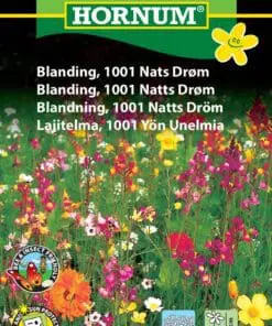 Blomsterfrø blanding 1001 nat drøm – Blanding af lave vilde blomster – Blomsterfrø