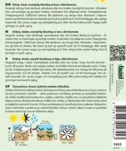 Blomsterfrø blanding 1001 nat drøm – Blanding af lave vilde blomster – Blomsterfrø