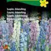 Lupin frø – Lupiner i farverig blanding – Blomsterfrø