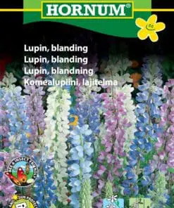 Lupin frø – Lupiner i farverig blanding – Blomsterfrø