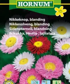 Nikkelkop frøblanding – Velegnet som evighedsblomst – Blomsterfrø