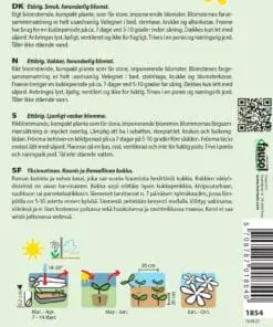 Påfugleblomst frø blanding “Strawberry Shortcake” – Blomsterfrø