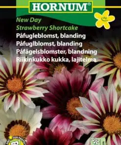 Påfugleblomst frø blanding “Strawberry Shortcake” – Blomsterfrø