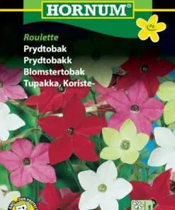 Prydtobak blomsterfrø – Roulette blanding – Blomsterfrø