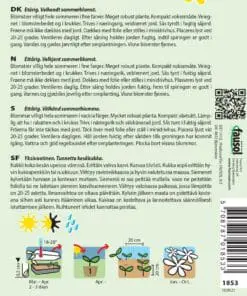 Prydtobak blomsterfrø – Roulette blanding – Blomsterfrø