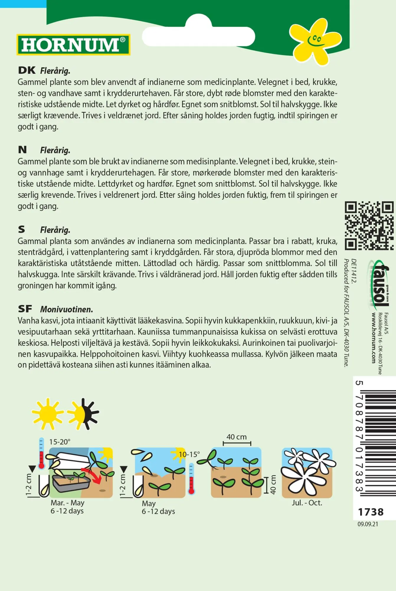 Solhat Clio – Flerårig – Blomsterfrø