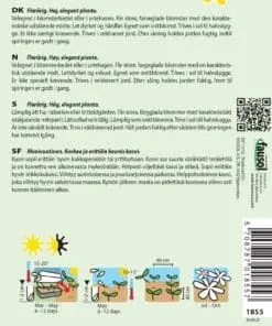 Solhat blomsterfrø blanding – Flerårig “Great Sunny Mix” – Blomsterfrø