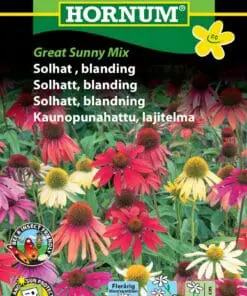 Solhat blomsterfrø blanding – Flerårig “Great Sunny Mix” – Blomsterfrø