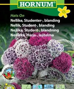 Studenternellike frø – “Hats On” blanding