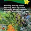 Biurt og blomst – Blanding af spiselige blomster og krydderurter – frø