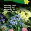 Blomsterblanding Forår – Forårets første blomsterpragt. – Blomsterfrø