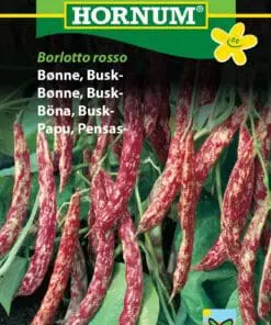 Buskbønne “Borlotto Rosso” Hvide / Røde Bønner – Grøntsagsfrø