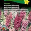 Fingerbøl blanding – Mervita – 2 årig snit og prydblomst – Blomsterfrø