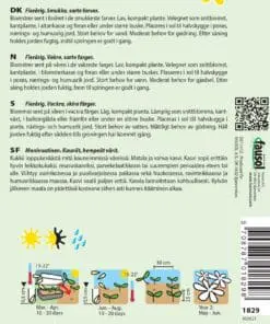 Forglemmigej blanding – Smukke sarte farver – Blomsterfrø