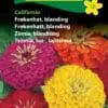 Frøkenhat blanding “California” – Store farveige frøkenhat – Blomsterfrø