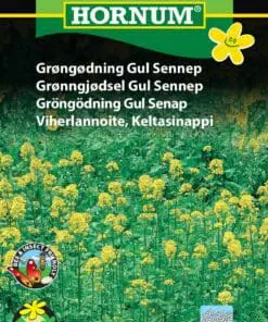 Gul Sennep Grøngødning – Blomsterfrø
