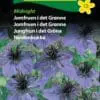 Jomfruen i det grønne – Midnight – Blomstefrø