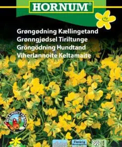 Kællingetand blomsterfrø flotte flerårige gule blomster – Grøngødning