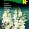 Løvemund Hvid “Elegant” – Blomsterfrø