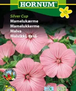 Mamelukærme Silver Cup – Lyserød mamelukærme – Blomsterfrø