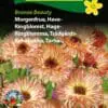 Morgenfrue Bronzefarvet “Bronze Beauty” – Blomsterfrø