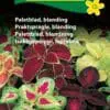 Paletblad – Fine farvekontraster i bladene – Blomsterfrø