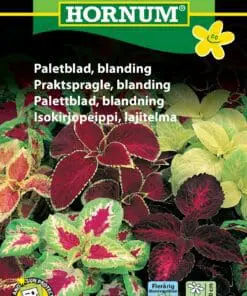 Paletblad – Fine farvekontraster i bladene – Blomsterfrø