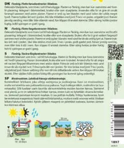 Paletblad – Fine farvekontraster i bladene – Blomsterfrø
