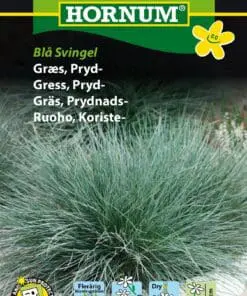 Prydgræs græsfrø “Blå Svingel” en flot blågrå græs – Blomsterfrø / Græsfrø