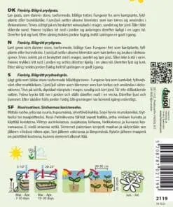 Prydgræs græsfrø “Blå Svingel” en flot blågrå græs – Blomsterfrø / Græsfrø