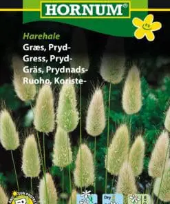 Harehale prydgræs græsfrø. Bløde dunede blomsterstande – Blomsterfrø / Græsfrø