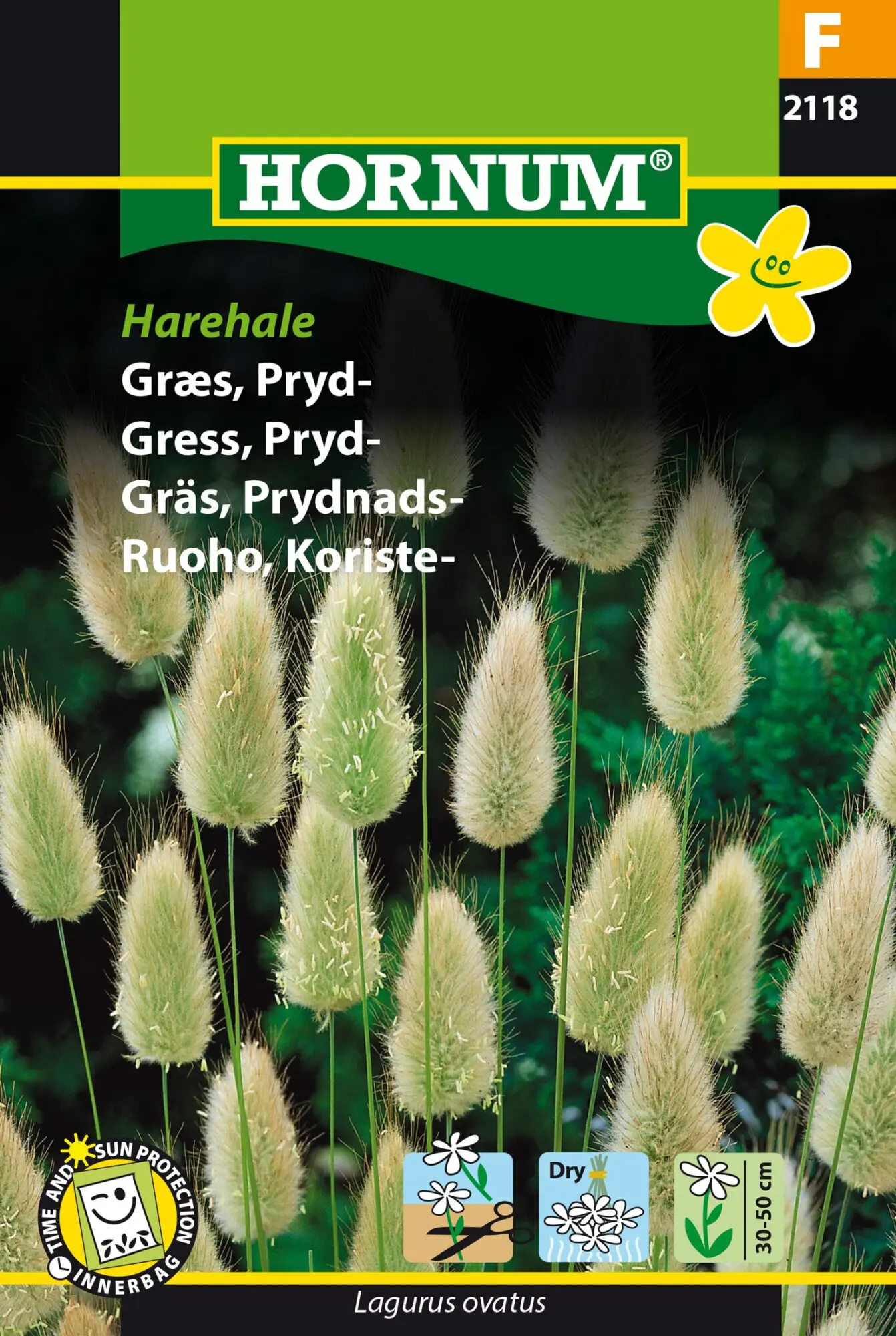 Harehale prydgræs græsfrø. Bløde dunede blomsterstande – Blomsterfrø / Græsfrø